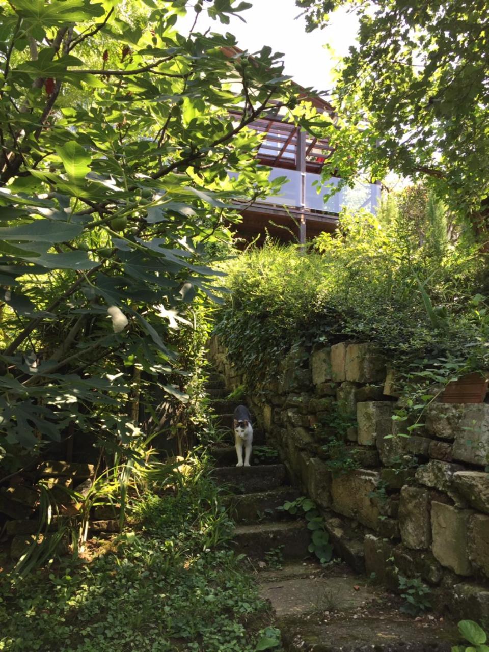 페트로바라딘 Pergola House In A Green Oasis With Fantastic View 아파트 외부 사진