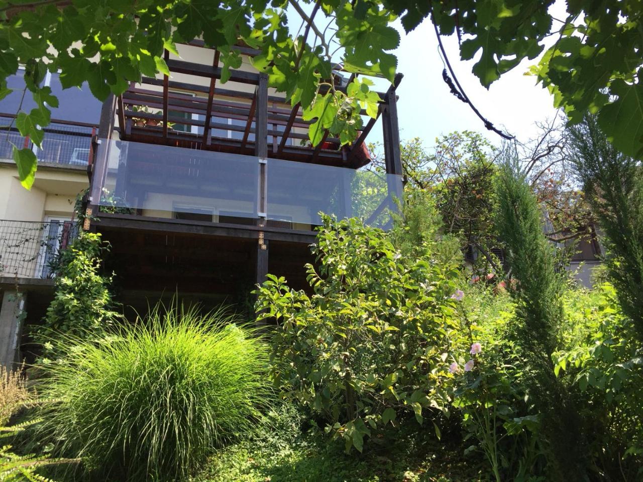Pergola House In A Green Oasis With Fantastic View 페트로바라딘 외부 사진