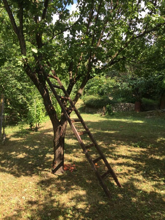 페트로바라딘 Pergola House In A Green Oasis With Fantastic View 아파트 외부 사진